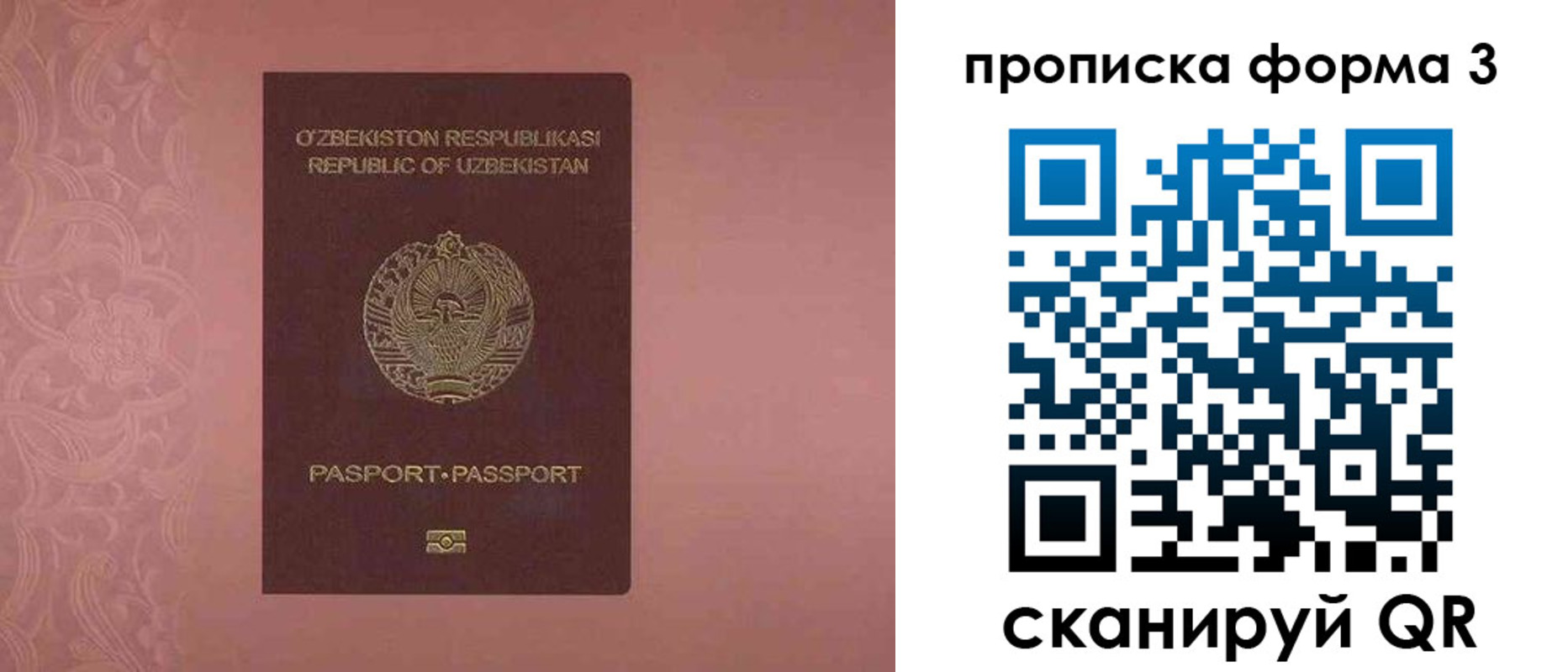 регистрация в Южно-Сухокумске